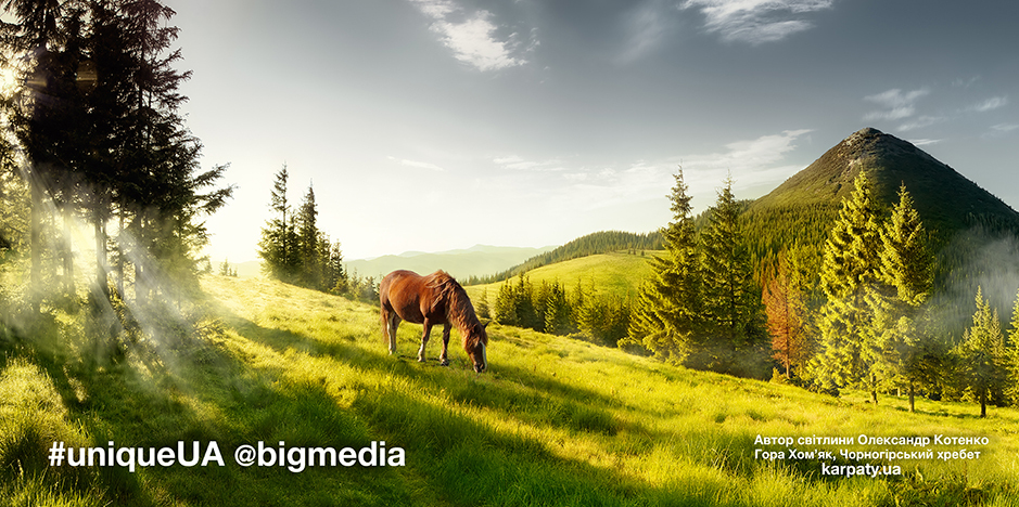 Олександр Котенко